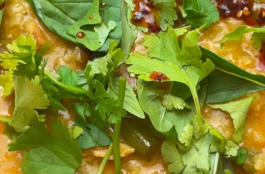 Thai Curry Brothy Chicken Stew