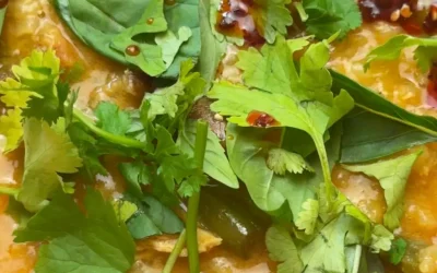 Thai Curry Brothy Chicken Stew